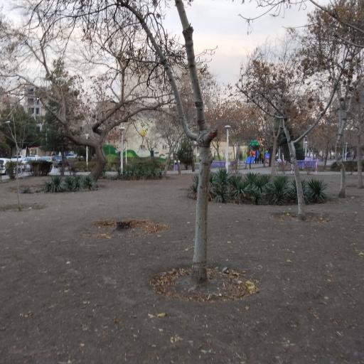 عکس بوستان افرا