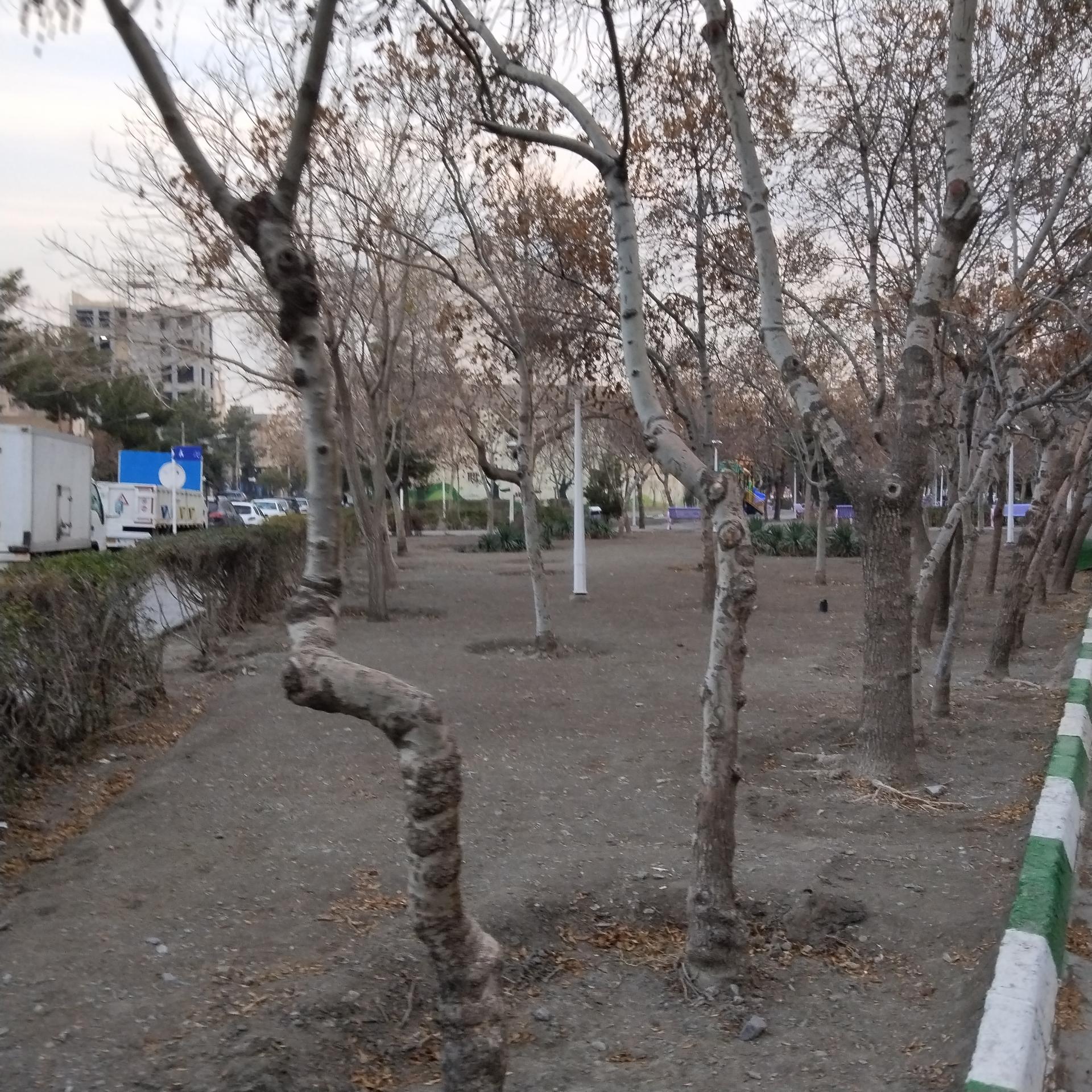 عکس بوستان افرا