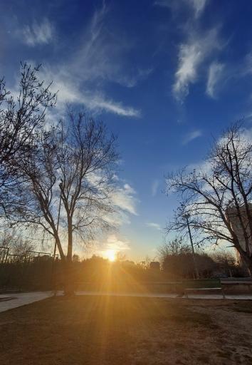 عکس شهرک شاهد