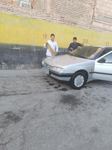 عکس کارواش پارک