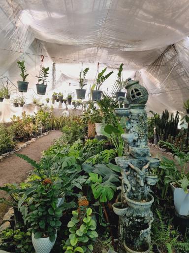 عکس گلسرای حال خوب