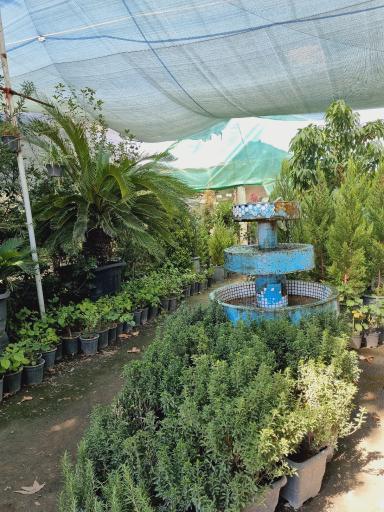 عکس گلسرای حال خوب