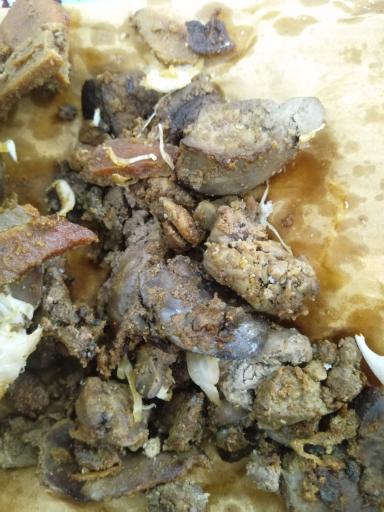 عکس پیتزا و فست فود رئوف