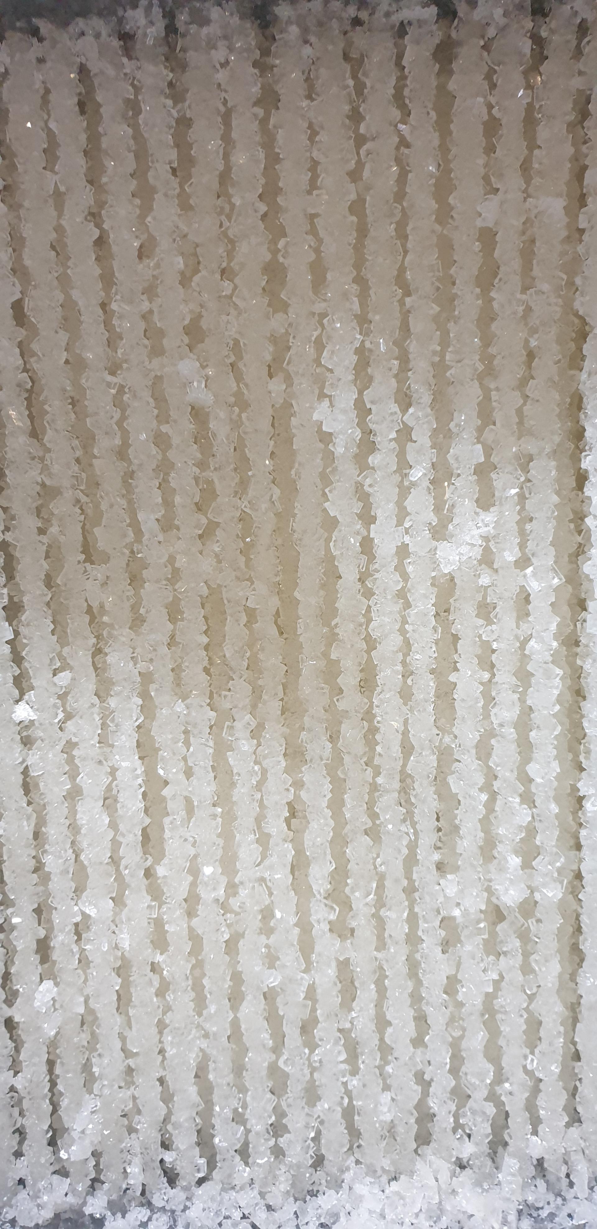 عکس تولیدی نبات توحید