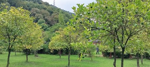 عکس مازندران