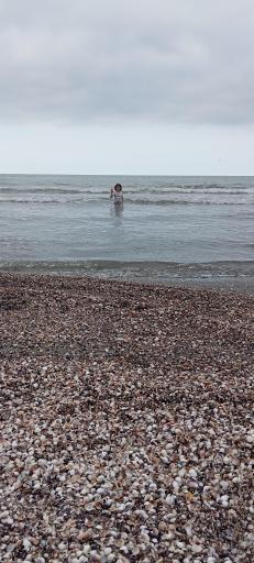 عکس مازندران