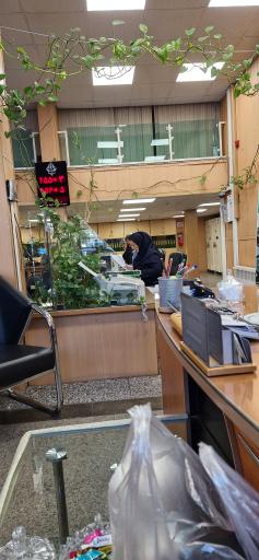 بانک کشاورزی