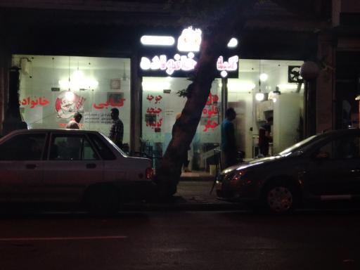 عکس کبابی خانواده