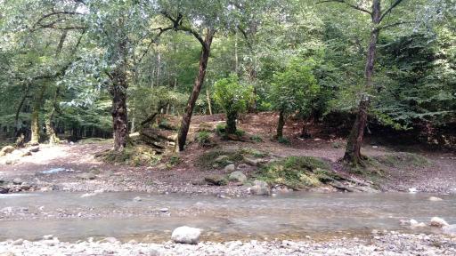 عکس مازندران