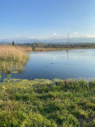 عکس مازندران