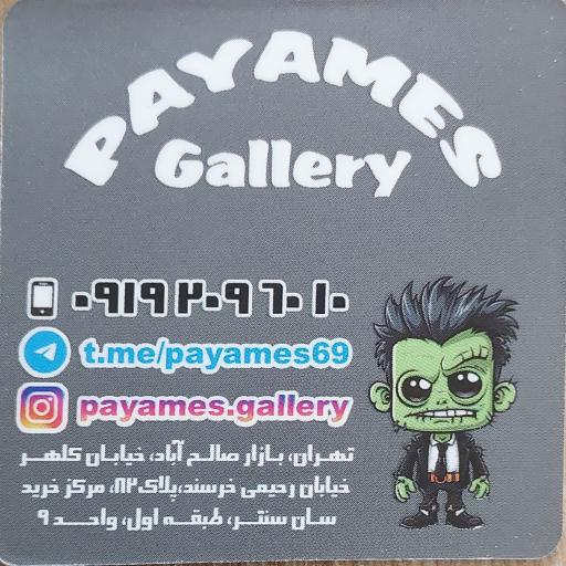 عکس اکسسوری پیامس