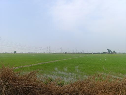 عکس مازندران