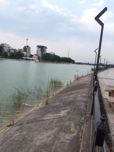 عکس پارک قائم ساری