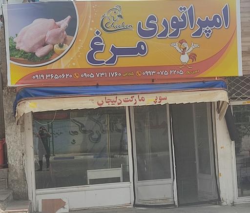 عکس امپراطوری مرغ