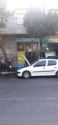 عکس مکانیکی احمد