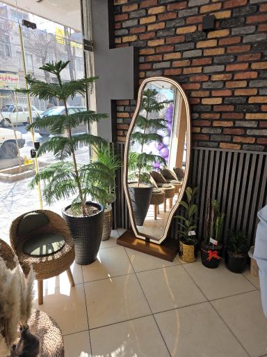 عکس کافه بلزا