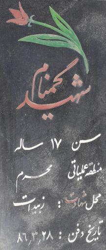 عکس مزار شهدای گمنام آرین شهر