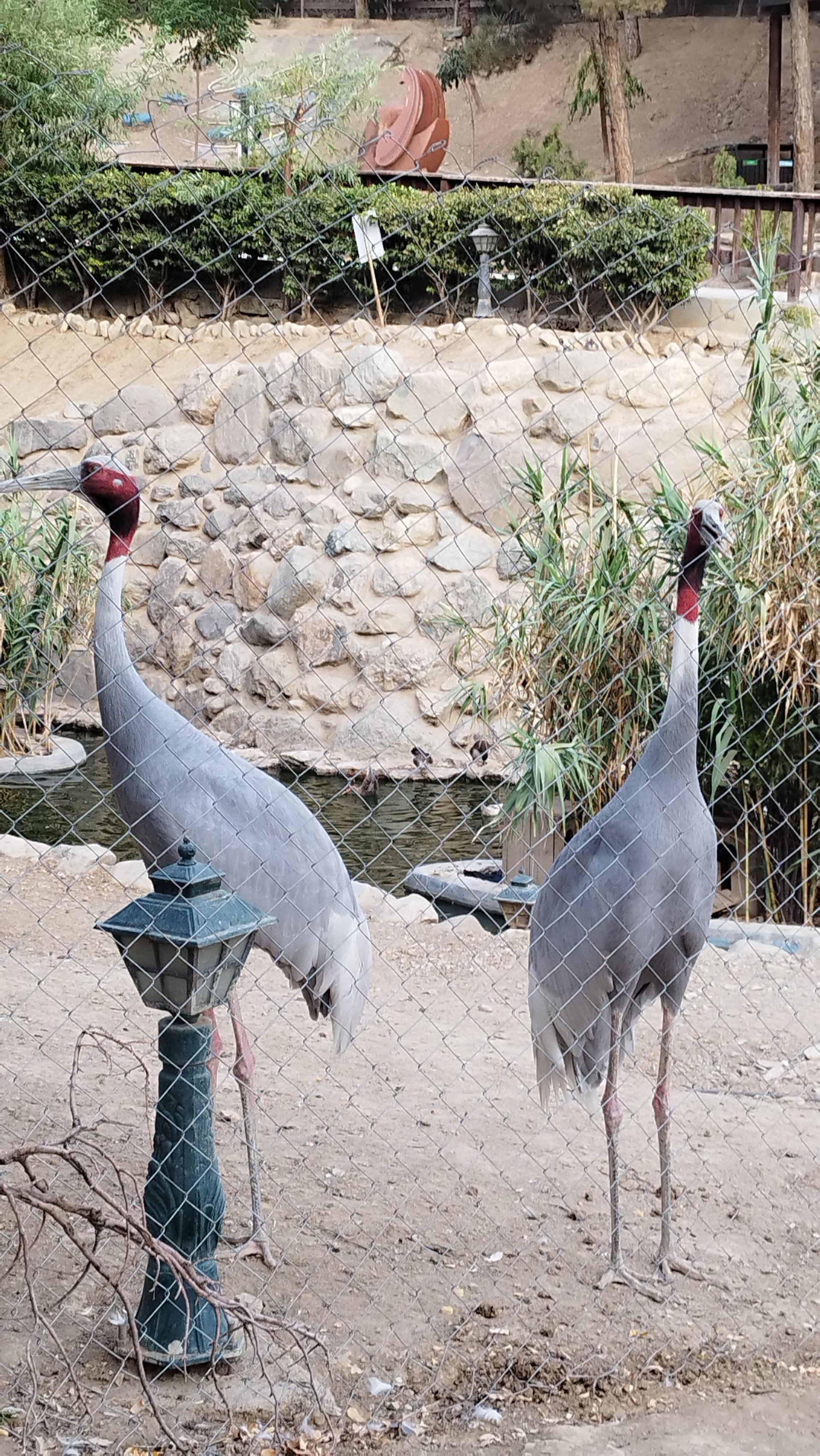 عکس باغ پرندگان تهران