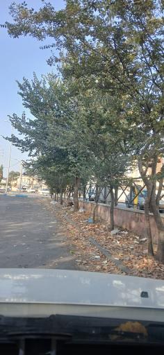 عکس پارک قائم ساری