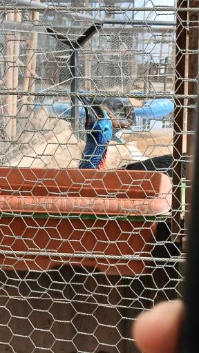 عکس باغ پرندگان تهران