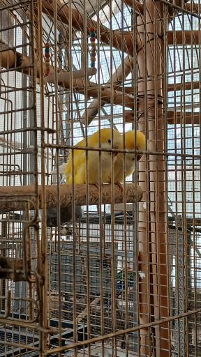 عکس باغ پرندگان تهران