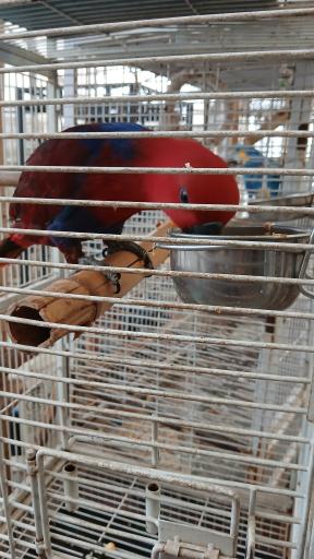 عکس باغ پرندگان تهران