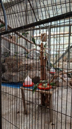 عکس باغ پرندگان تهران