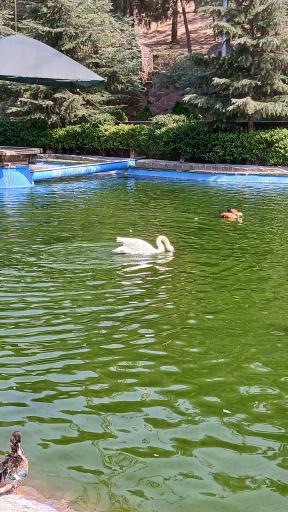 عکس باغ پرندگان تهران