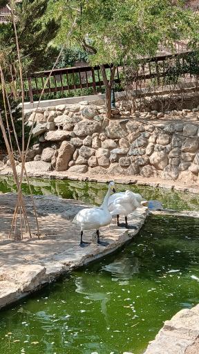 عکس باغ پرندگان تهران