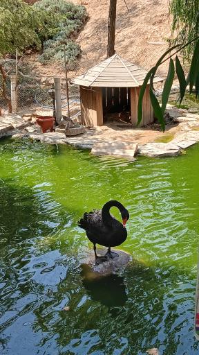 عکس باغ پرندگان تهران