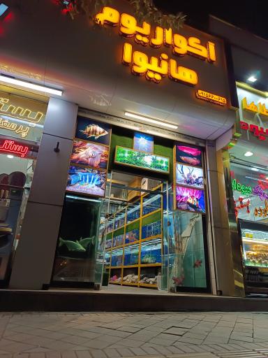 عکس آکواریم هانیوا