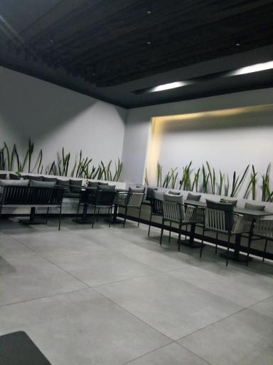 عکس کافه سیرو