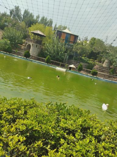 عکس باغ پرندگان تهران