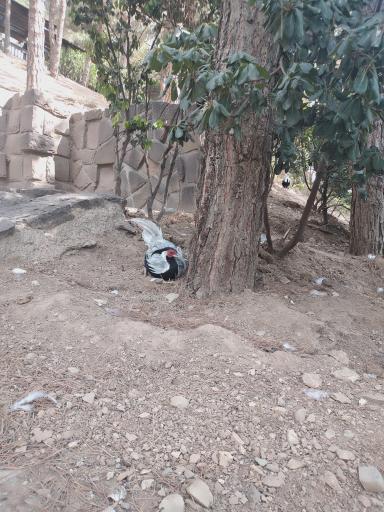 عکس باغ پرندگان تهران