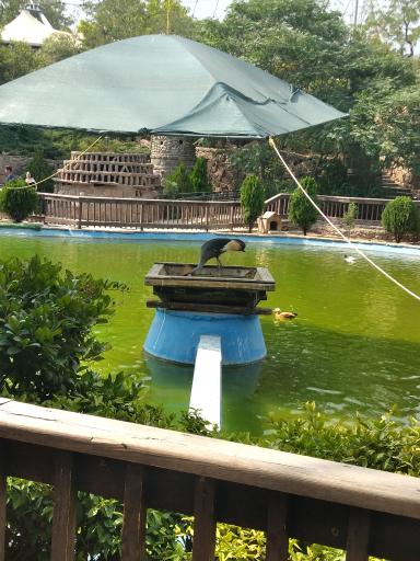 عکس باغ پرندگان تهران