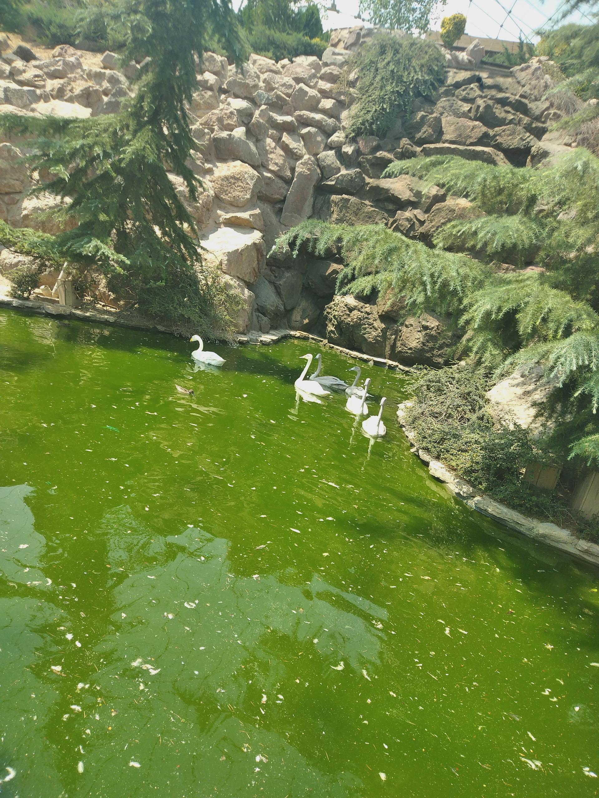 عکس باغ پرندگان تهران
