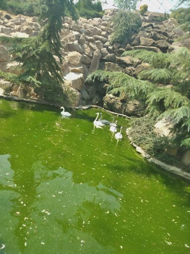 عکس باغ پرندگان تهران