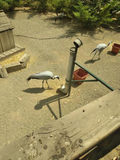 عکس باغ پرندگان تهران