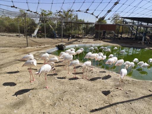 عکس باغ پرندگان تهران