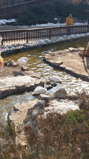 عکس باغ پرندگان تهران