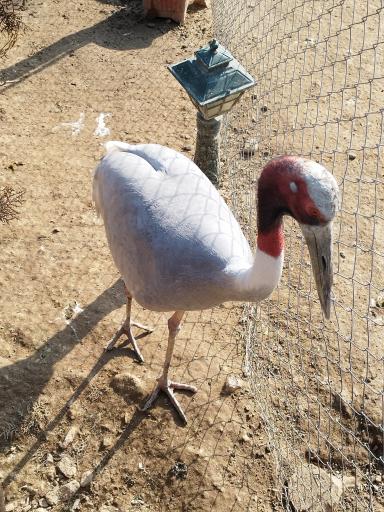 عکس باغ پرندگان تهران