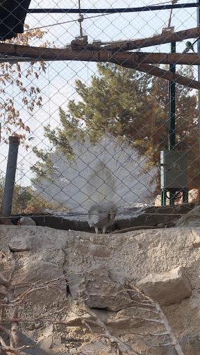 عکس باغ پرندگان تهران