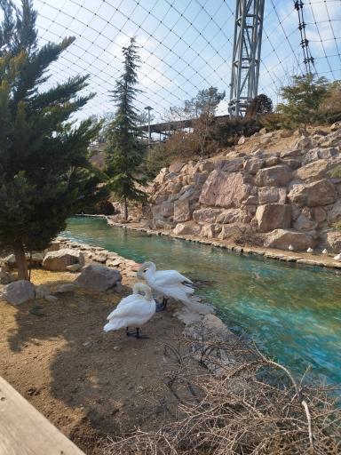 عکس باغ پرندگان تهران