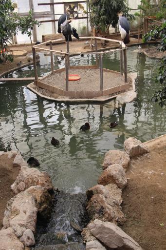 عکس باغ پرندگان تهران