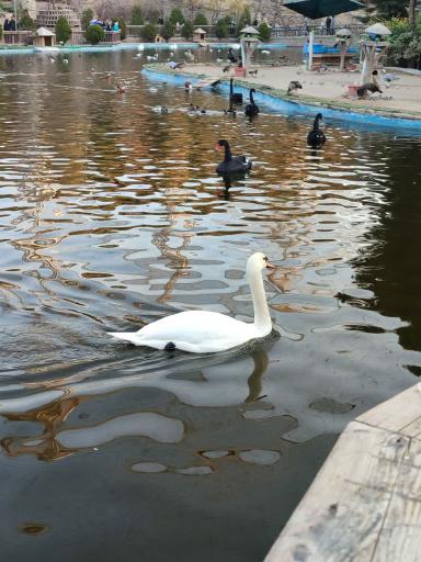 عکس باغ پرندگان تهران