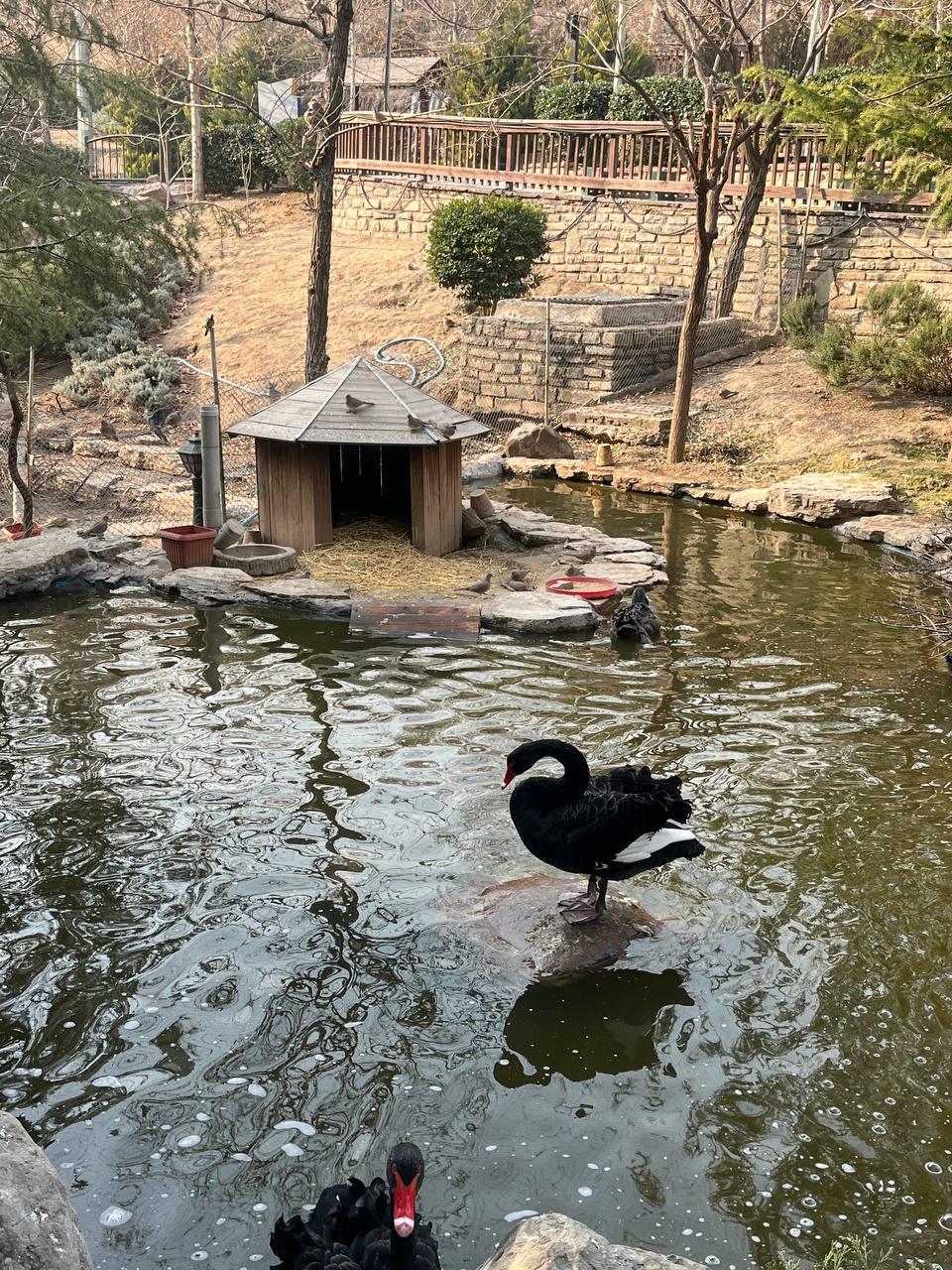 عکس باغ پرندگان تهران