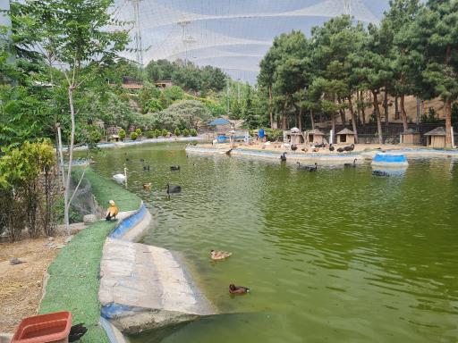 عکس باغ پرندگان تهران