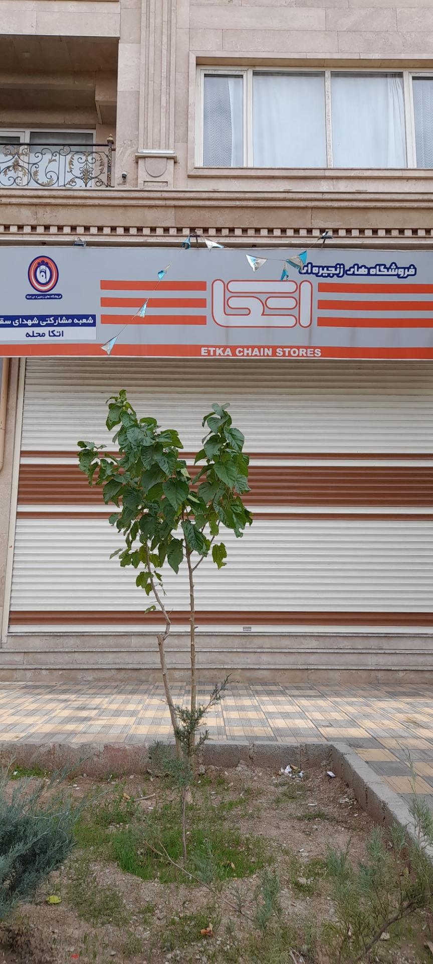 عکس فروشگاه اتکاه