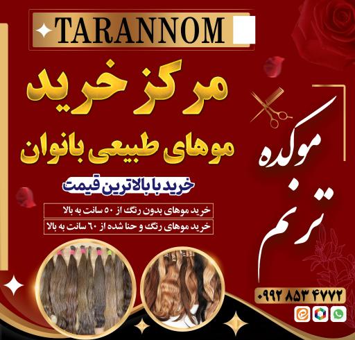 عکس موکده ترنم