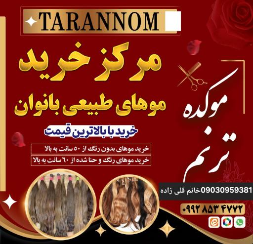 عکس موکده ترنم